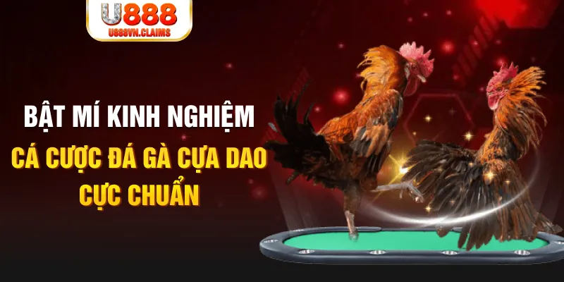ae888 com trong baccarat, ai là người chia bài chính？