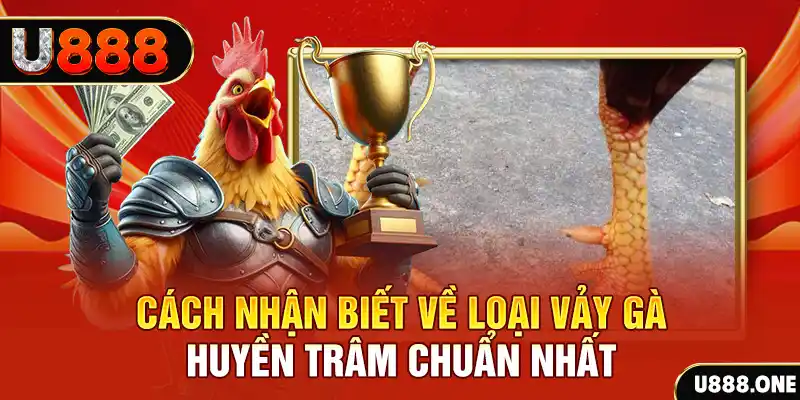 ae888 com Chú hề Patty tuổi teen