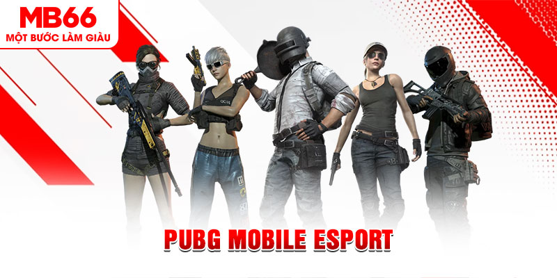 ae888 com gà chọi c1 mới nhất