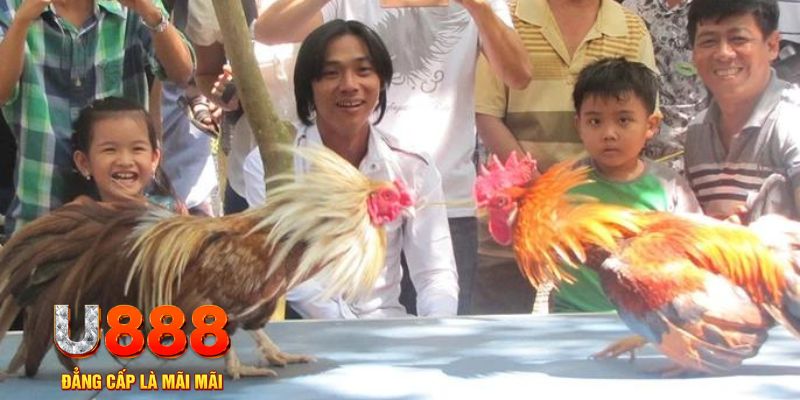 ae888 com mơ thấy nổ hũ đánh con gì