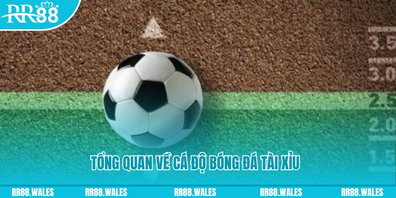 ae888 com JDB Điện Tử