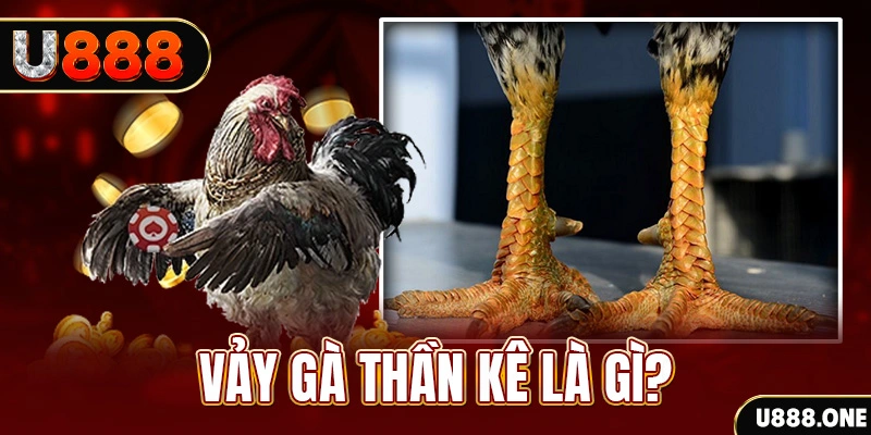 ae888 com xổ số miền bắc thứ tư hàng tuần