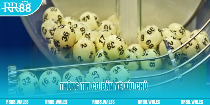 ae888 com baccarat long bảo là gì