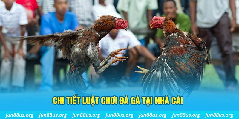 ae888 com đăng nhập sòng bạc uy tín