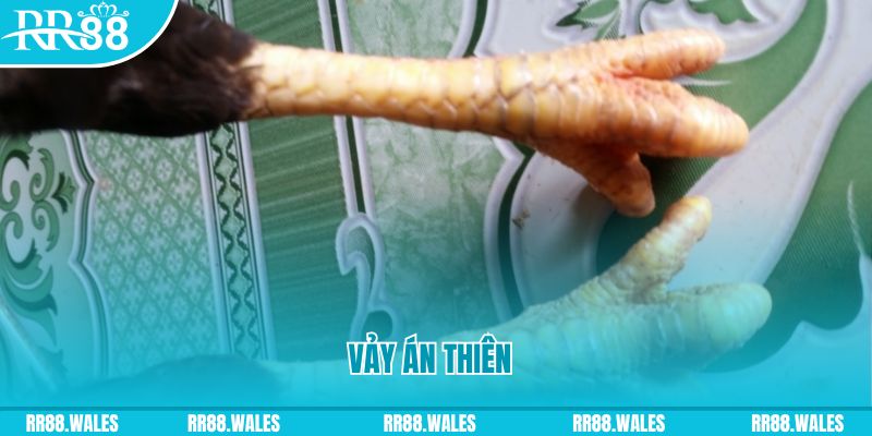 ae888 com who wants to be a millionaire slot